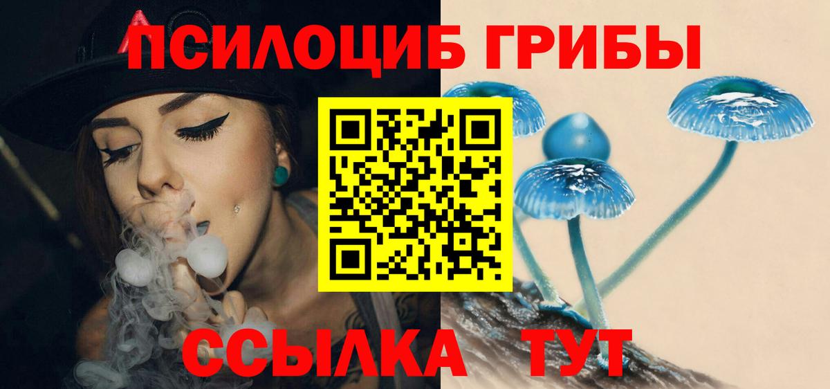 Галлюциногенные грибы Psilocybine cubensis Ачинск