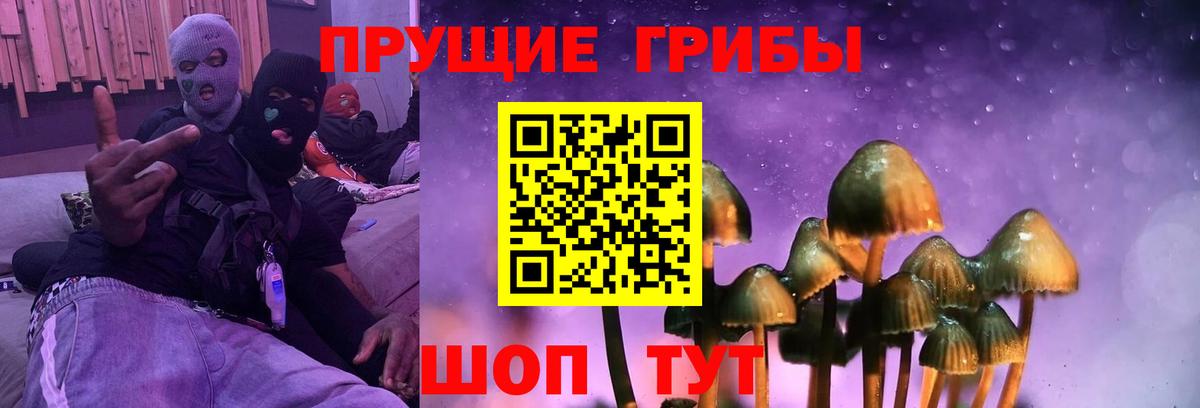 наркота  Псилоцибиновые грибы GOLDEN TEACHER  Вход с VPN  Ачинск 